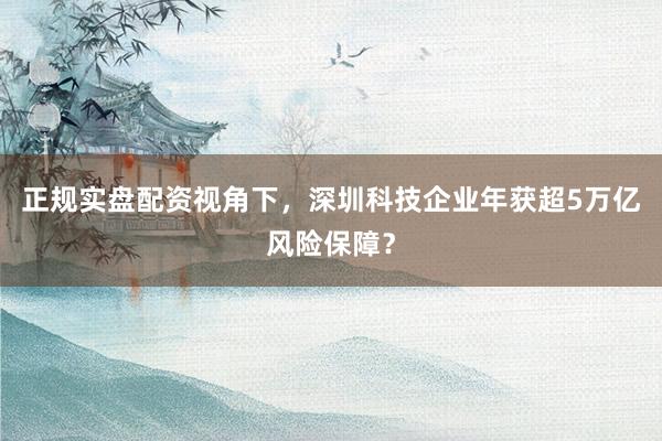 正规实盘配资视角下，深圳科技企业年获超5万亿风险保障？