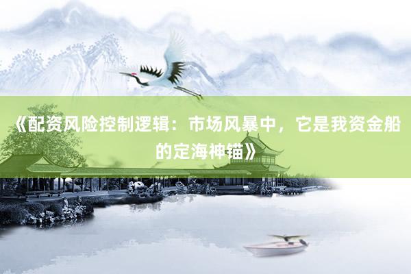 《配资风险控制逻辑：市场风暴中，它是我资金船的定海神锚》