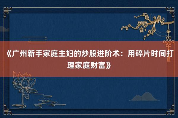 《广州新手家庭主妇的炒股进阶术：用碎片时间打理家庭财富》