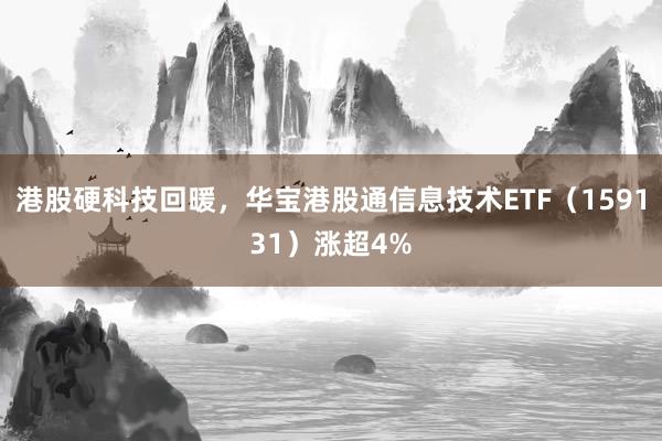 港股硬科技回暖，华宝港股通信息技术ETF（159131）涨超4%