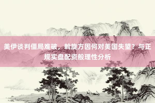 美伊谈判僵局难破，斡旋方因何对美国失望？与正规实盘配资般理性分析