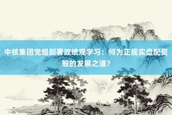 中核集团党组部署政绩观学习：何为正规实盘配资般的发展之道？